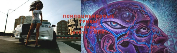 молекула духа Алексин