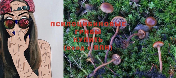 гидра Алзамай