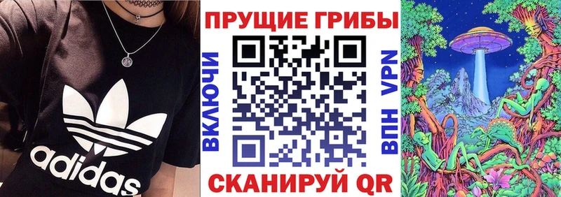 Псилоцибиновые грибы мухоморы  Лахденпохья 